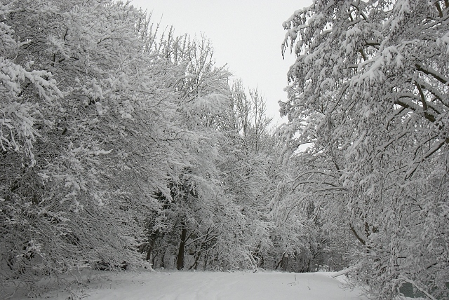 2010/324/GB 20101217 011 Kazerneren ivm sneeuwval_1.jpg